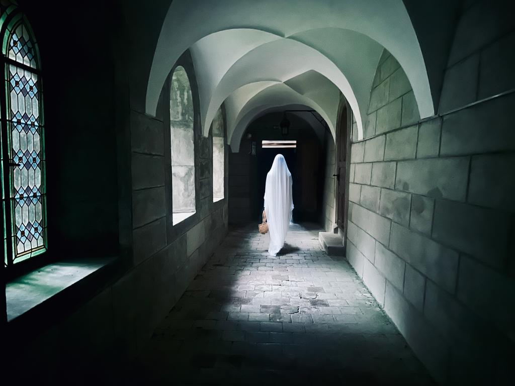 LA CHAMBRE: ENTRE LA VIE ET LA MORT | Caitlin Aiston Valloton | Altitudes