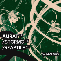 Aurat (US) + Stormo (IT) + Reaptile (CH)